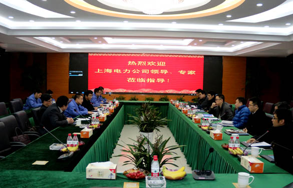 上海電力公司、上纜所領(lǐng)導(dǎo)、專家一行來上上電纜交流考察